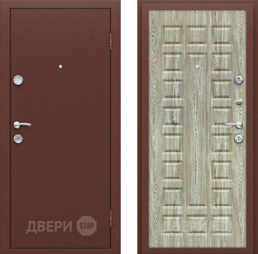 Входная металлическая Дверь СТОП ЭКО-2 Ель Карпатская в Дмитрове