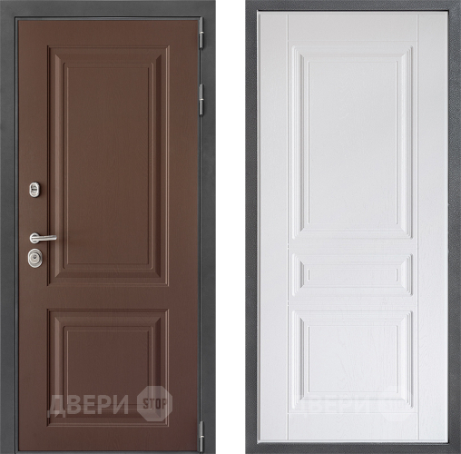 Входная металлическая Дверь Дверной континент ДК-3/729 ФЛ-243 Альберо Браш серебро в Дмитрове