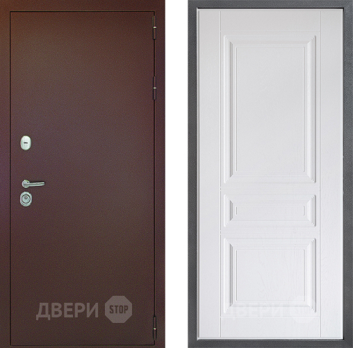 Входная металлическая Дверь Дверной континент Рубикон Медь Дизайн ФЛ-243 Альберо Браш серебро в Дмитрове