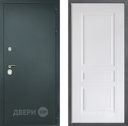 Входная металлическая Дверь Дверной континент Рубикон Серебро Дизайн ФЛ-243 Альберо Браш серебро в Дмитрове