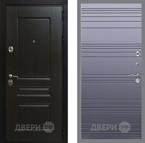 Входная металлическая Дверь Рекс (REX) Премиум-Н Line Силк титан в Дмитрове