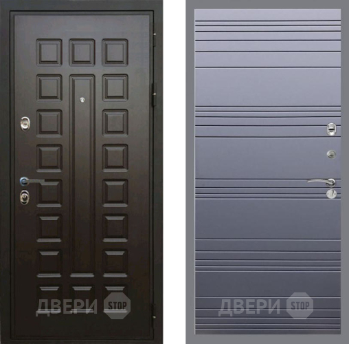Входная металлическая Дверь Рекс (REX) Премиум 3к Line Силк титан в Дмитрове
