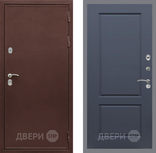 Дверь Рекс (REX) 5 металл 3 мм FL-117 Силк титан в Дмитрове